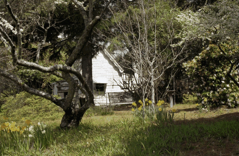 Avoca Cottage - Accommodation Redcliffe 3
