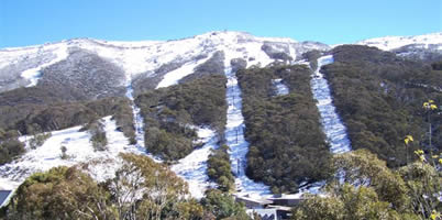 Snowgoose Apartments - Accommodation Redcliffe 5