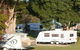Bellinger River Tourist Park - thumb 3
