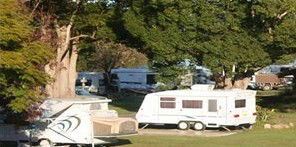 Bellinger River Tourist Park - Accommodation Redcliffe 3