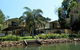 Bellinger River Tourist Park - thumb 4
