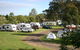 Dawson River Tourist Park - thumb 1