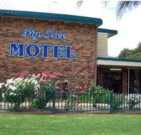 Fig Tree Motel - Accommodation Redcliffe