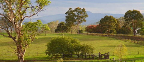 Barrington Village Retreat Bed And Breakfast - Accommodation Redcliffe 1