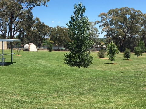 Canobolas Caravan Park - Accommodation Redcliffe 3