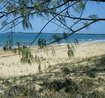Seawinds Caravan Park - Accommodation Redcliffe 1