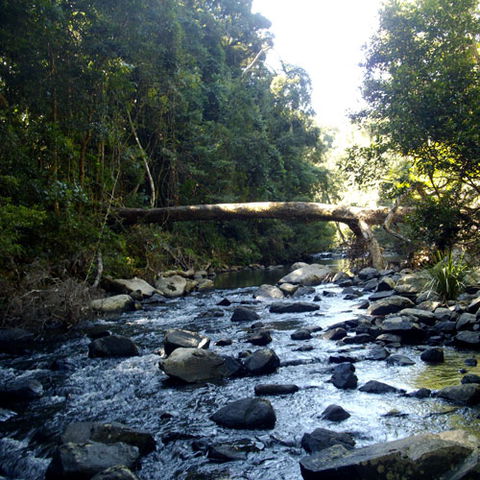 Eungella Mountain Edge Escape - Accommodation Redcliffe 4