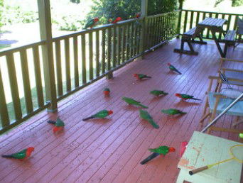 A Little Bit Of Heaven - Holiday Home - Accommodation Redcliffe 8
