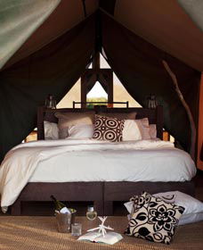 Sal Salis Ningaloo Reef - Accommodation Redcliffe 0