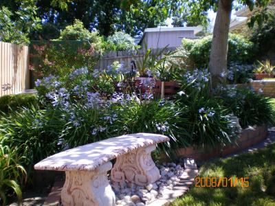 Austin Rise Bed And Breakfast - Accommodation Redcliffe 4