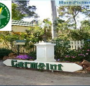 Carmelot Bed  Breakfast - Accommodation Redcliffe