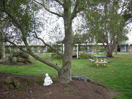 The Gold Sovereign Motor Inn - Accommodation Redcliffe 0