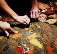 Daintree Eco Lodge And Spa - Accommodation Redcliffe
