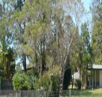 Nimbin Backpackers at Grannys Farm - Accommodation Redcliffe