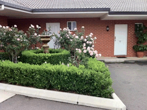 Akuna Motor Inn - Accommodation Redcliffe 4