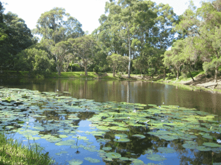 Santa Fe Luxury Bed And Breakfast - Accommodation Redcliffe 3
