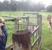 Boronia Farm Farmstay - Accommodation Redcliffe