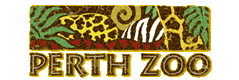 Perth Zoo - Accommodation Redcliffe