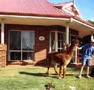 Brilea Cottages - Accommodation Redcliffe