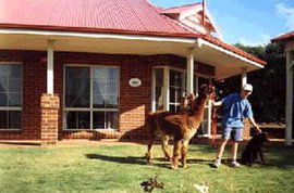 Brilea Cottages - Accommodation Redcliffe 0