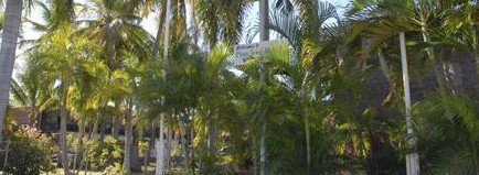 Pine Tree Motel - Accommodation Redcliffe 2