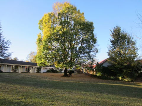 Moore Park Inn - Accommodation Redcliffe 0
