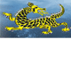 Dragon Phoenix Motel amp Restuarant - Accommodation Redcliffe