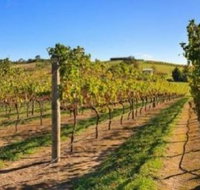 DeVine Escape - Accommodation Redcliffe