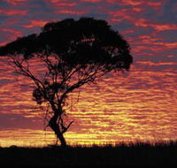 Kimba Caravan Park amp Motel - Accommodation Redcliffe