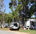 Elliston Caravan Park - Accommodation Redcliffe