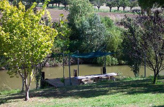 Colonial Inn Tamworth - Accommodation Redcliffe 3