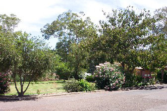 Colonial Inn Tamworth - Accommodation Redcliffe 4