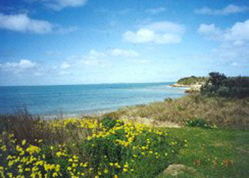 Southern Ocean Tourist Park - Accommodation Redcliffe 1