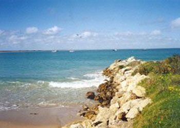 Southern Ocean Tourist Park - Accommodation Redcliffe 2