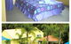 Tropic Oasis Holiday Villas - thumb 1