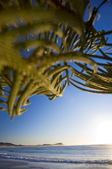 Terrigal Sails Serviced Apartments - Accommodation Redcliffe 5