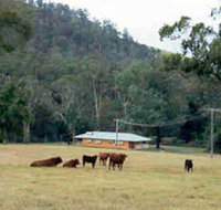 Shute Hill Country Retreat - Accommodation Redcliffe