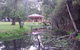 Kangaroo Gully Cottage - thumb 0