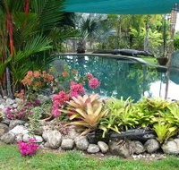 Daintree Wild Bed And Breakfast - Accommodation Redcliffe