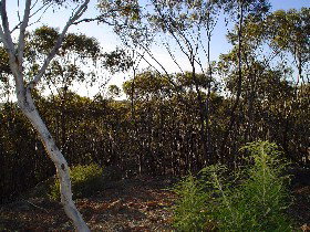Cuballing ACT Accommodation Redcliffe