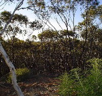 Lions Dryandra Woodlands Village - Accommodation Redcliffe
