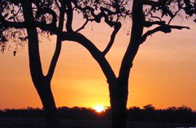 Coodardie Station Stay - Accommodation Redcliffe 0