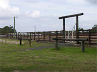 Mt White Lodge - Accommodation Redcliffe 2