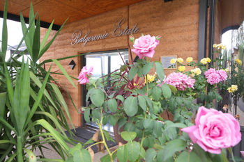 Balgownie Estate Vineyard & Spa - Accommodation Redcliffe 2