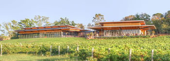 Balgownie Estate Vineyard & Spa - Accommodation Redcliffe 5