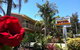 Mollymook Paradise Haven Motel - thumb 9