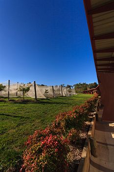 De'Vine Escape - Accommodation Redcliffe 5