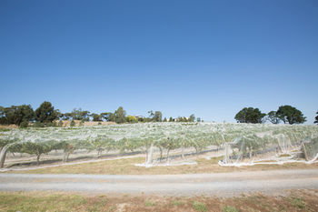 De'Vine Escape - Accommodation Redcliffe 12