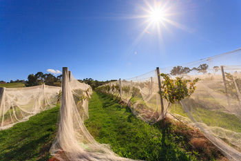 De'Vine Escape - Accommodation Redcliffe 14