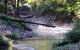 Yabbaloumba Retreat - thumb 5